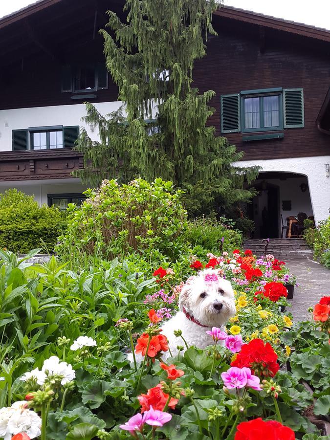 잘츠부르크 하우스 암 무스 B&B 외부 사진